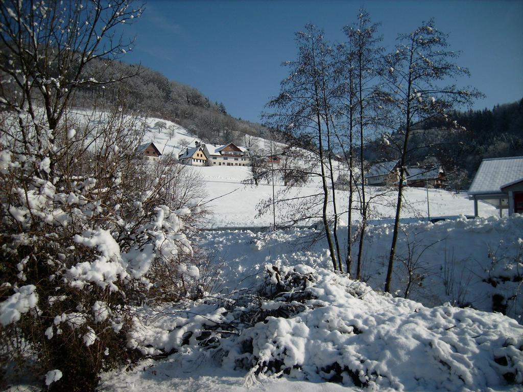 Finken, Gaestezimmer An Der Rench オッペナウ エクステリア 写真