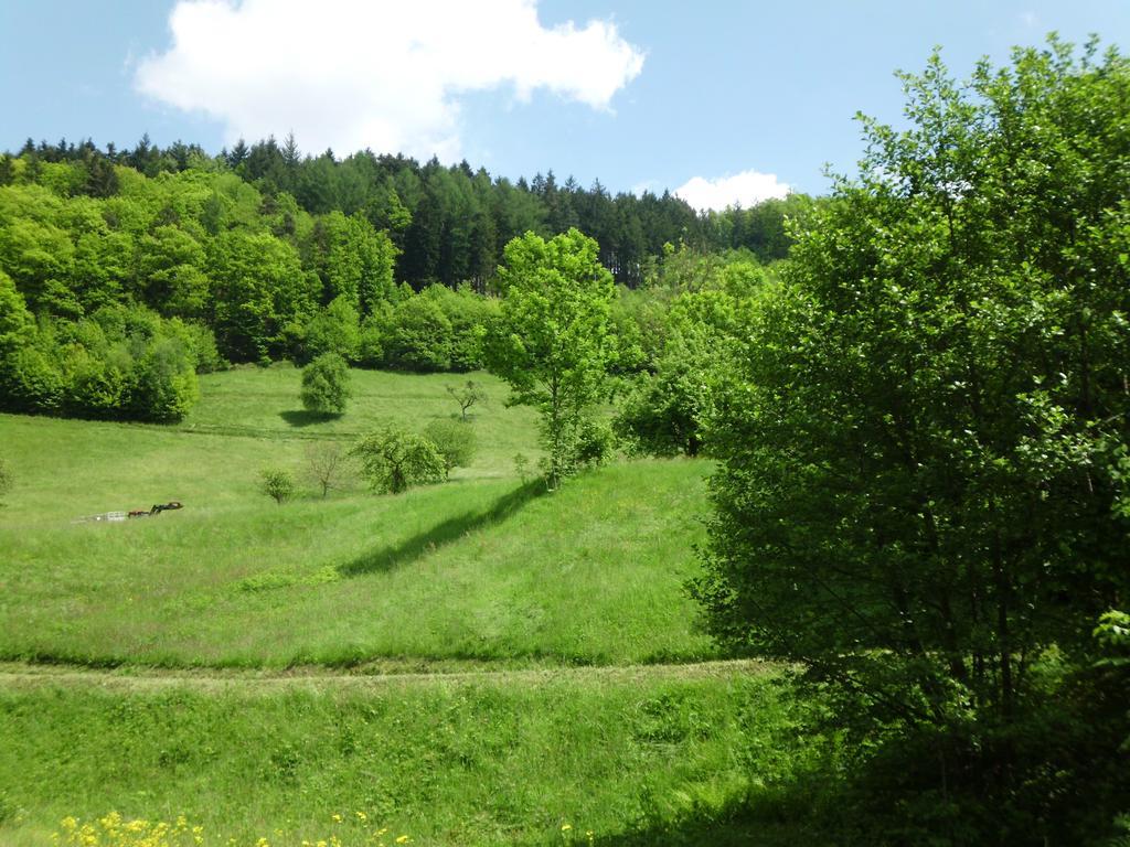 Finken, Gaestezimmer An Der Rench オッペナウ エクステリア 写真